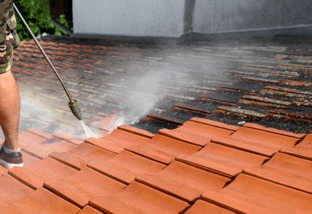 Best Residential Pressure Washing Services  in Reinbeck, IA