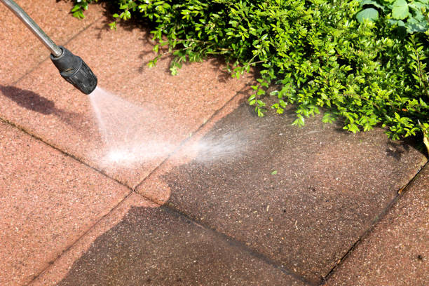  Reinbeck, IA Pressure Washing Pros